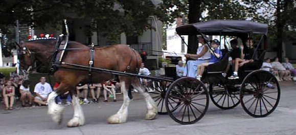 Horse Carriage